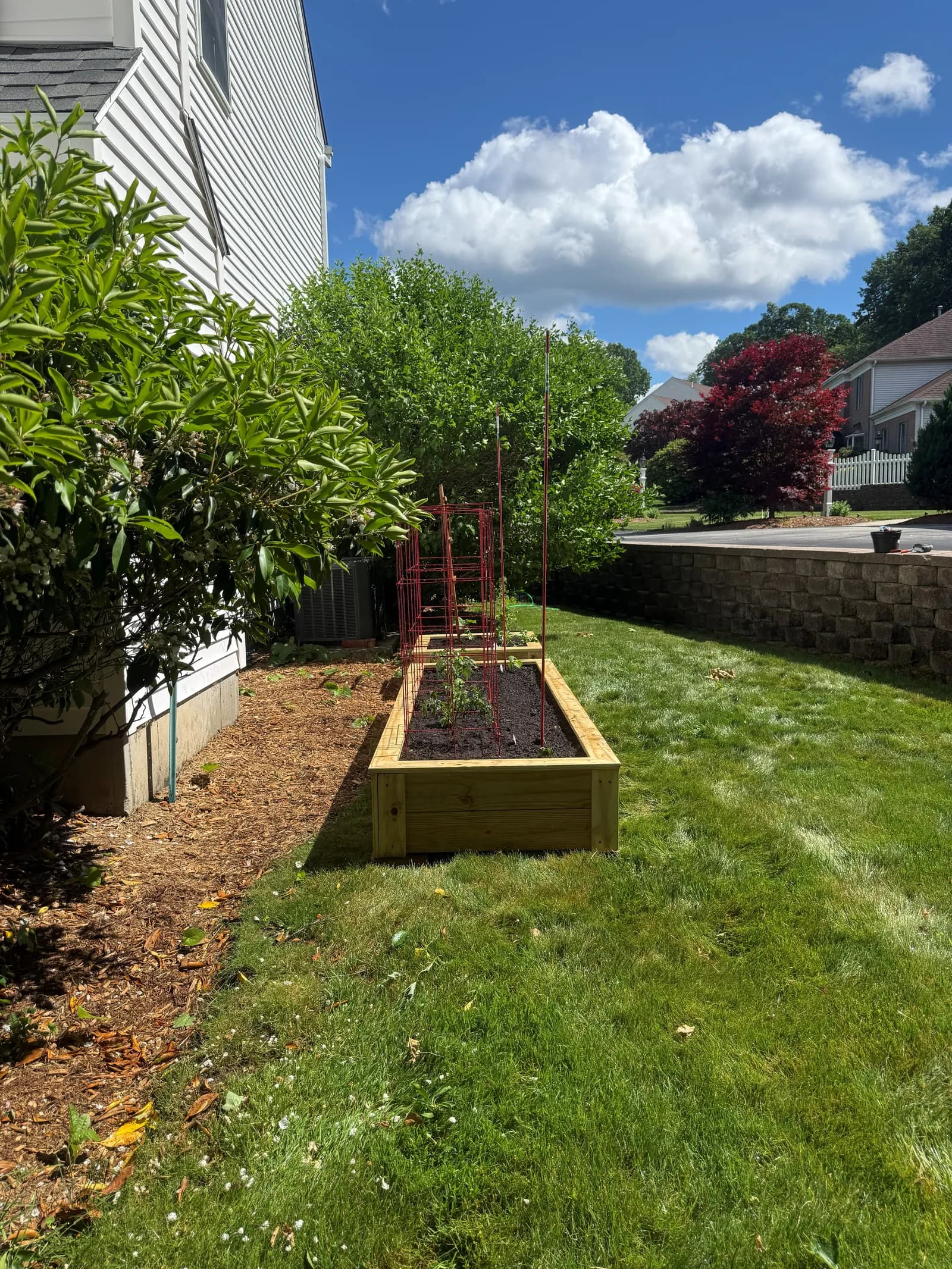 After — the finished kitchen garden